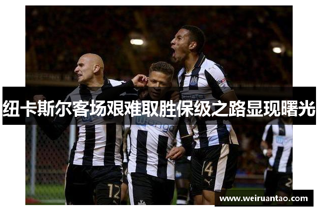 纽卡斯尔客场艰难取胜保级之路显现曙光