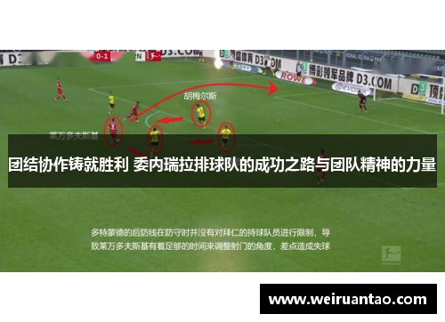 团结协作铸就胜利 委内瑞拉排球队的成功之路与团队精神的力量