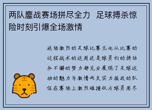 两队鏖战赛场拼尽全力  足球搏杀惊险时刻引爆全场激情